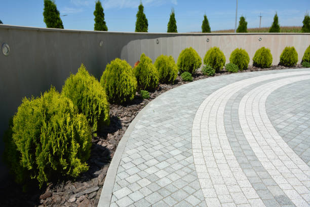 Driveway Repair Near Me in Mcswain, CA